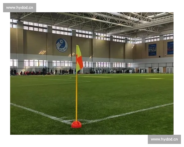 围绕足球比赛绿色直播打造沉浸体验与实时互动观赛新生态发展路径 - 副本